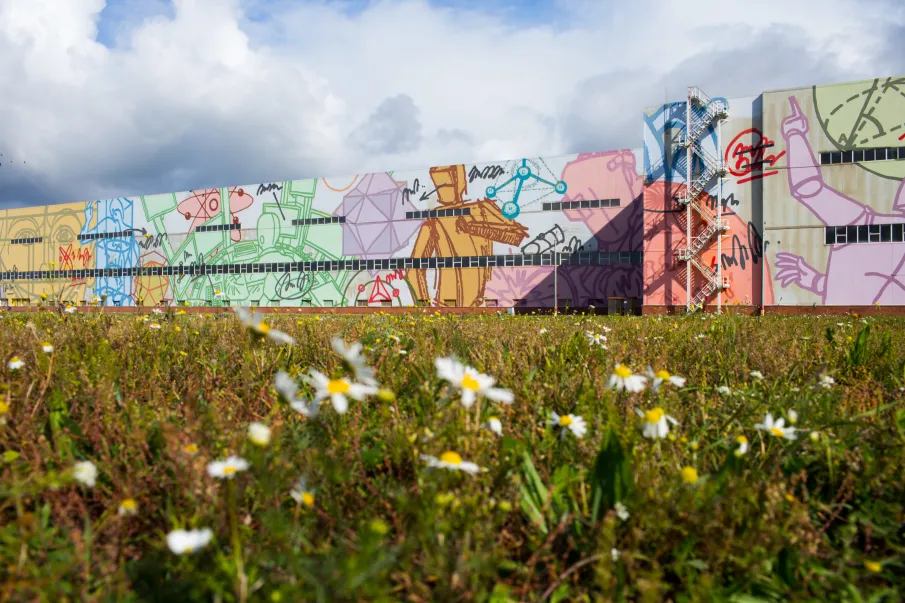 Фестиваль «Выкса. Арт-Овраг» стартует в июле