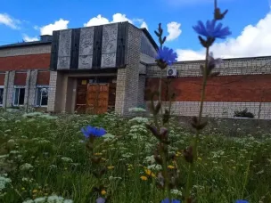 В Краснобаковском районе отремонтируют сельский дом культуры благодаря нацпроекту «Культура»