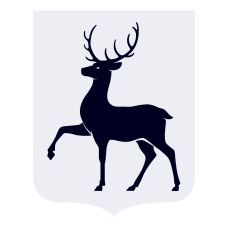 В Нижегородской области подведены итоги заявочной кампании в рамках реализации госпрограммы «Развитие культуры Нижегородской области»