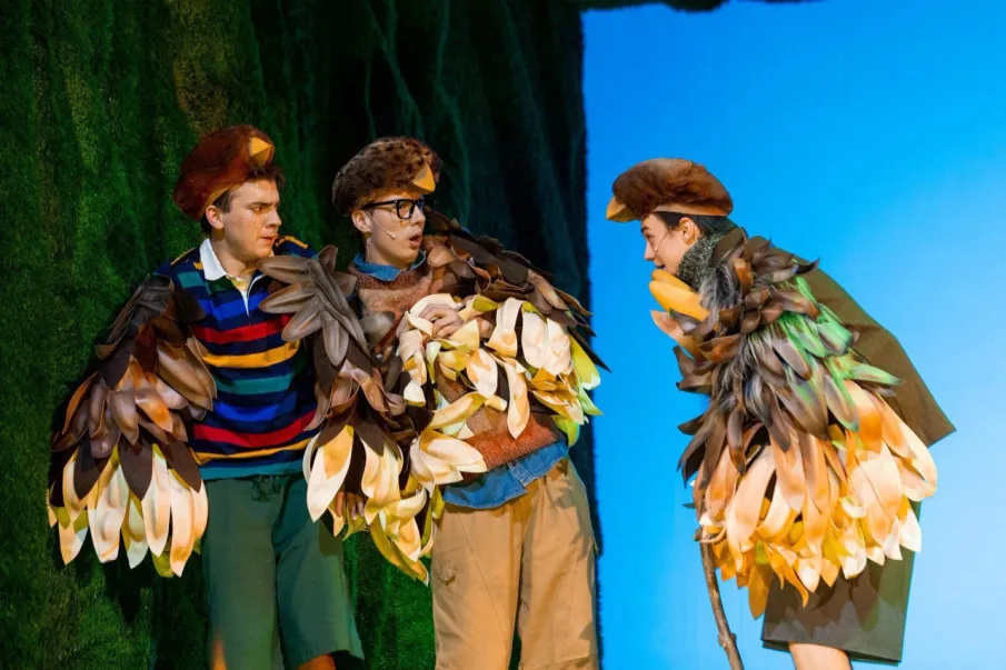 В Нижегородском ТЮЗе состоялась премьера спектакля «Баранкин, будь человеком!»